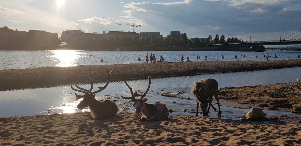 Kismet Lägenhet Rovaniemi Exteriör bild